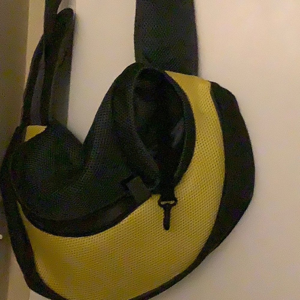 Mini pet carrier